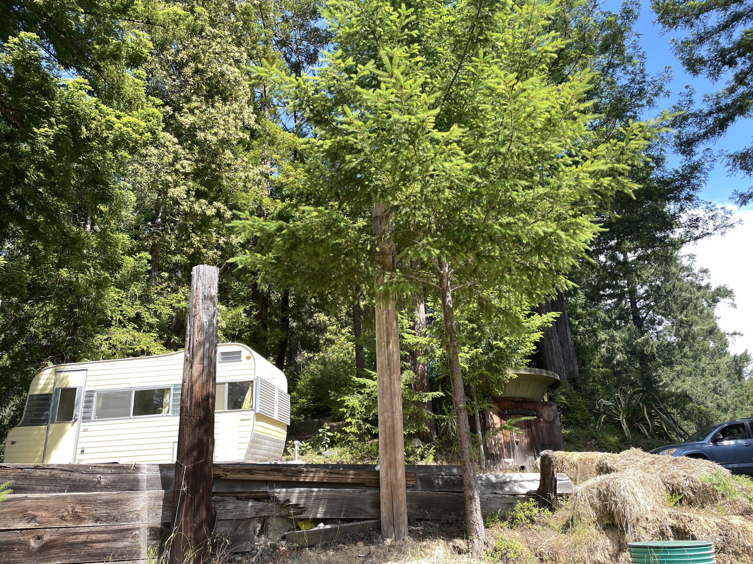 Trailer and house